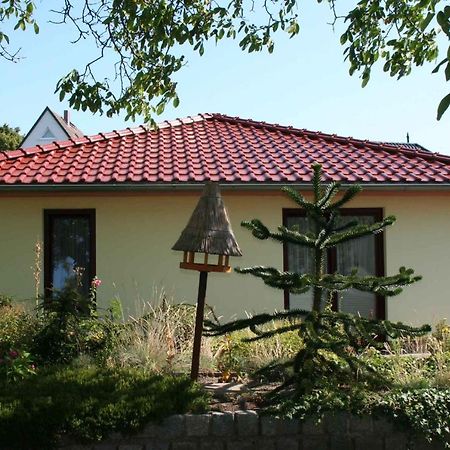 Holiday Home In Bergen/Insel Ruegen 2847 Bergen Auf Rugen Εξωτερικό φωτογραφία